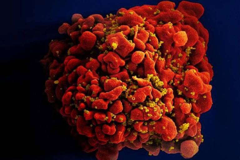 Anvisa aprova primeiro tratamento para HIV com apenas um comprimido